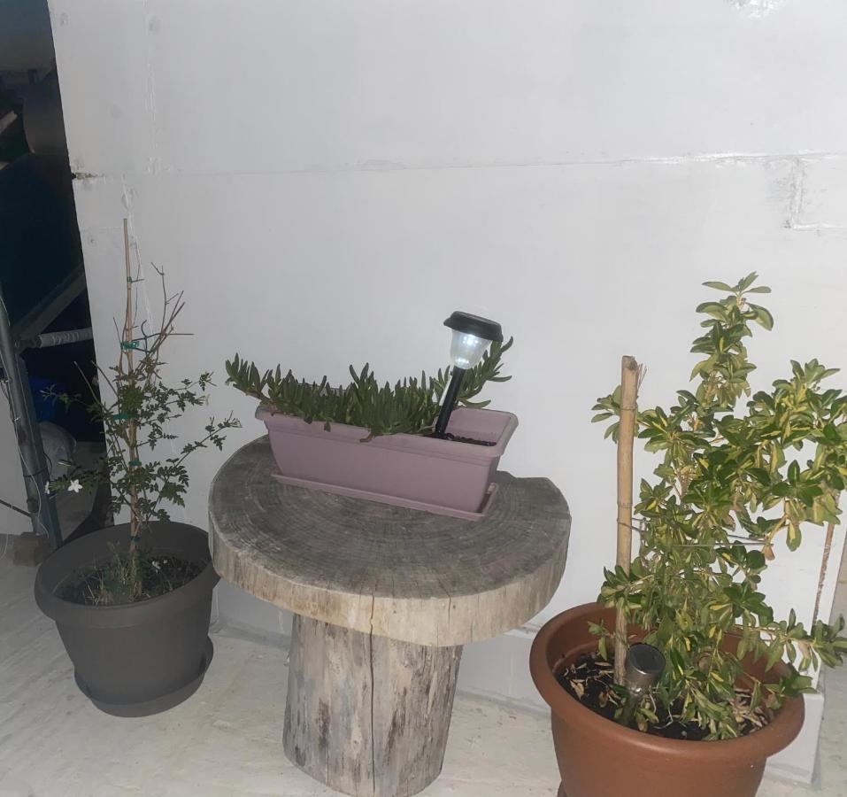 干尼亞 Dioni酒店 外观 照片
